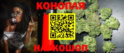 дживик Пыть-Ях